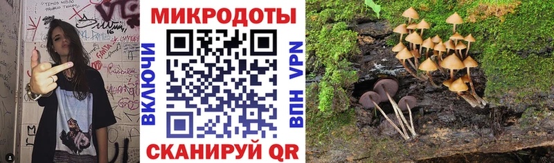 Псилоцибиновые грибы GOLDEN TEACHER Всеволожск