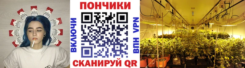 OMG ONION  Всеволожск  МАРИХУАНА Ganja 